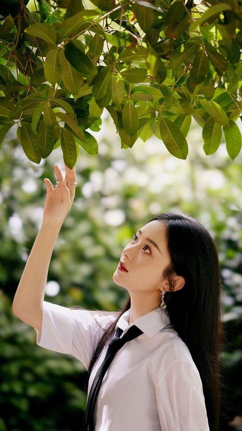 娱乐圈吃瓜50条,揭秘明星幕后故事